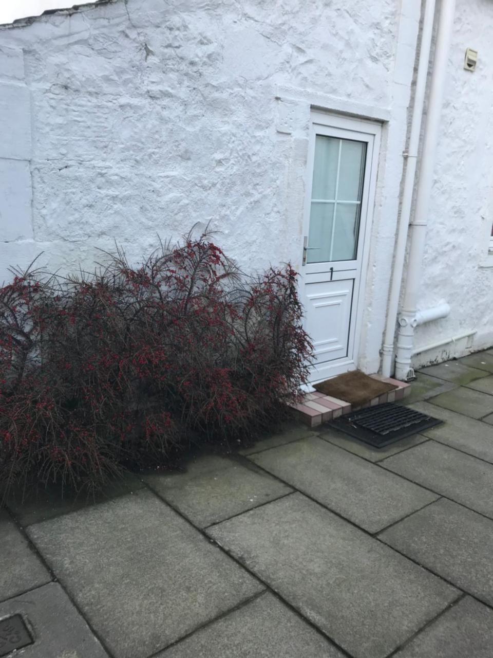 Ardgowan Guest House Paisley Eksteriør bilde